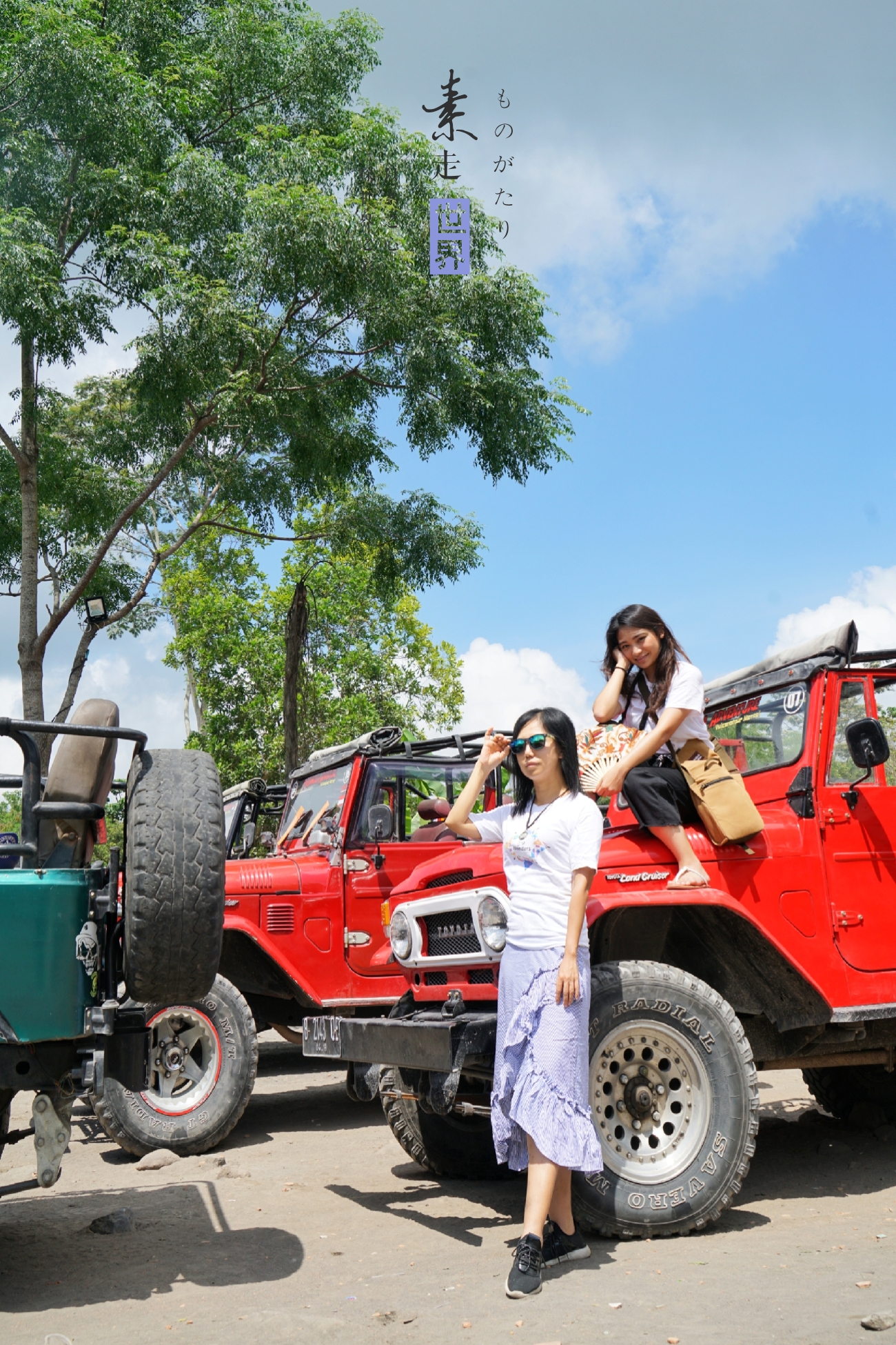 印度尼西亚8天行程,印度尼西亚十天旅游攻略图