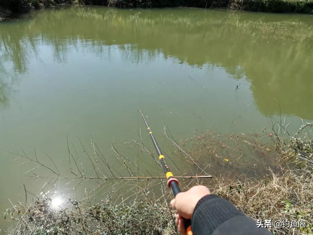 鱼少口弱,鱼少水浅怎么钓