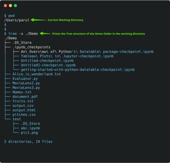 适合小白的BASH基本命令攻略,分分钟PK掉黑客达人