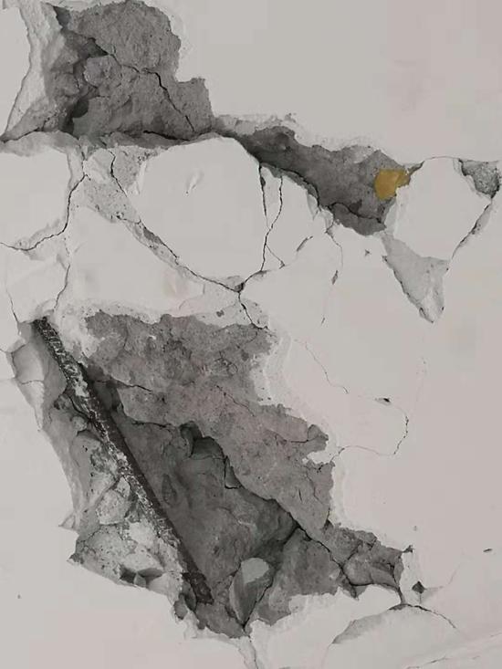 鏋楁硥鑳滄櫙灏忓尯,鍞愬北甯傝矾鍗楀尯鏋楁硥鑳滄櫙灏忓尯