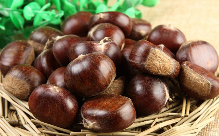 辽宁葫芦岛特产有哪些,辽宁特产有哪些值得带去的