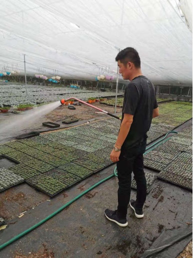 小伙直播卖樱桃挣百万,山东小伙直播卖货