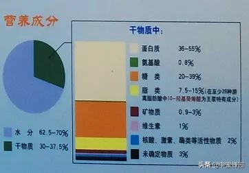蜂王浆养生知识,科普蜂王浆的功效及临床试验研究