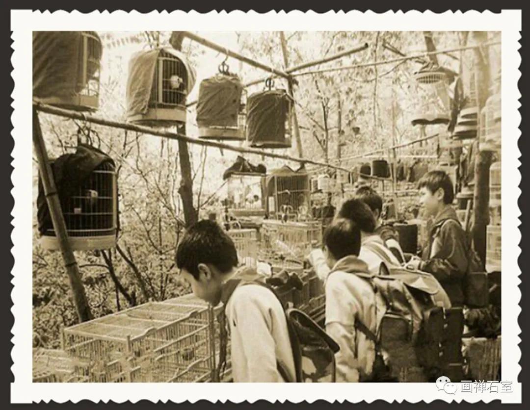 永难割舍的沧桑怀念千载不变的政商中心