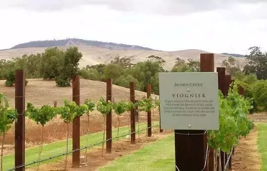 怎么选法国波尔多大区酒,如何选葡萄酒法国