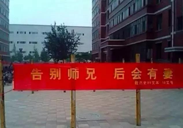 毕业季校园里这些横幅看哭了,学校毕业横幅