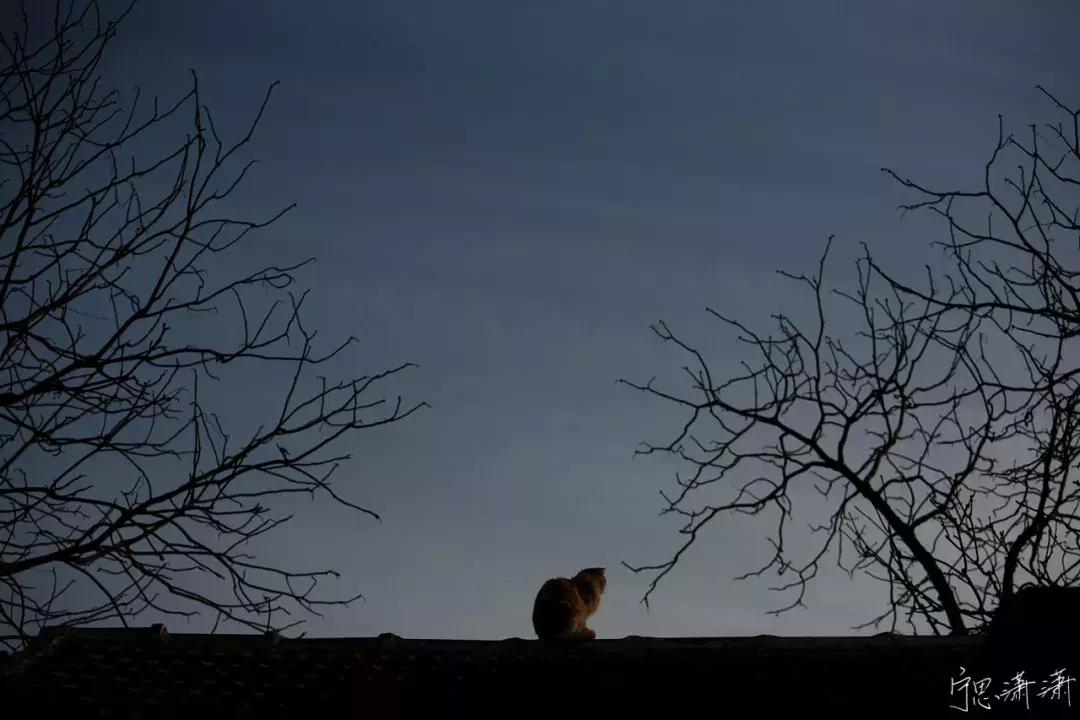 怎么样才算是正确曝光,正常的曝光是什么