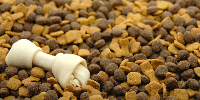 我不推荐大家给狗买狗粮，但如果你要买，这九个建议送给你