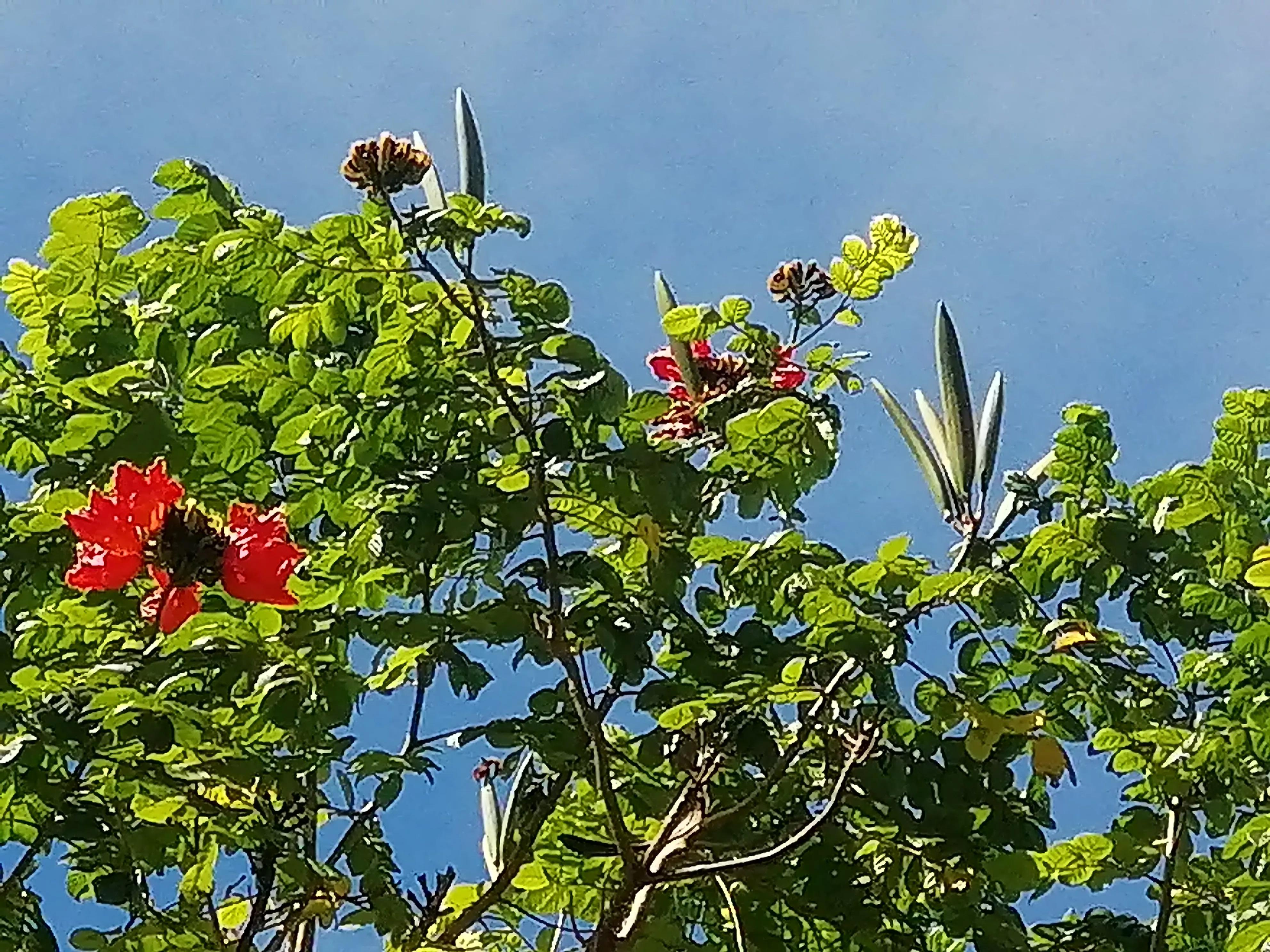 难忘的第一次100字,难忘的第一次三年级300字作文