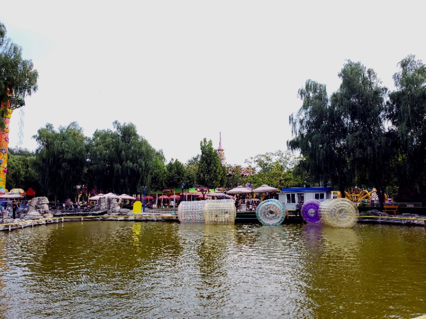 北京适合带娃遛狗的公园推荐,北京适合带娃溜达的公园