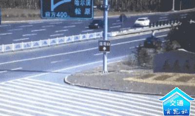 小孩开小车被警察抓了,小男孩开车被警察抓