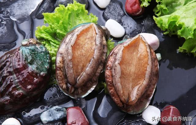 什么鲍鱼品质最好,中国哪里的鲍鱼品质好