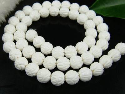 神奇贝壳料理,神奇的贝壳