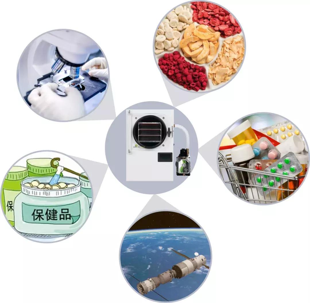 冻干机是冷冻干燥机吗,大型冻干机真空冷冻干燥机