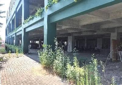 没有公厕景观破败……浮山距离城市生态公园还差多远?