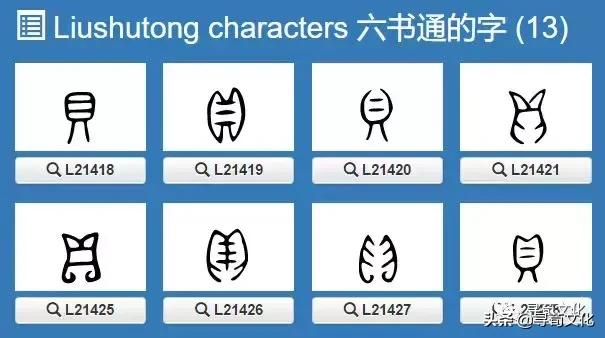 施汉字的艺术与中华姓氏文化,姓氏文化汉字艺术