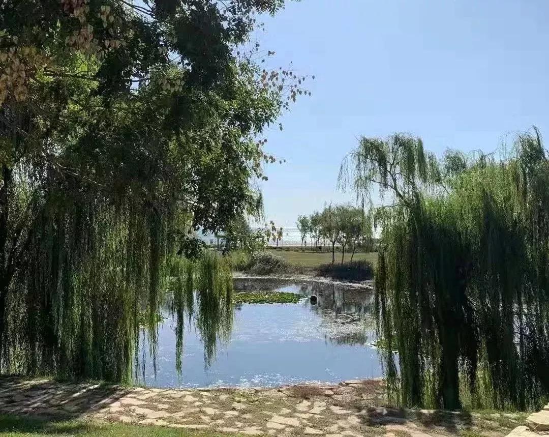 辽宁省高校（三十一）大连医科大学