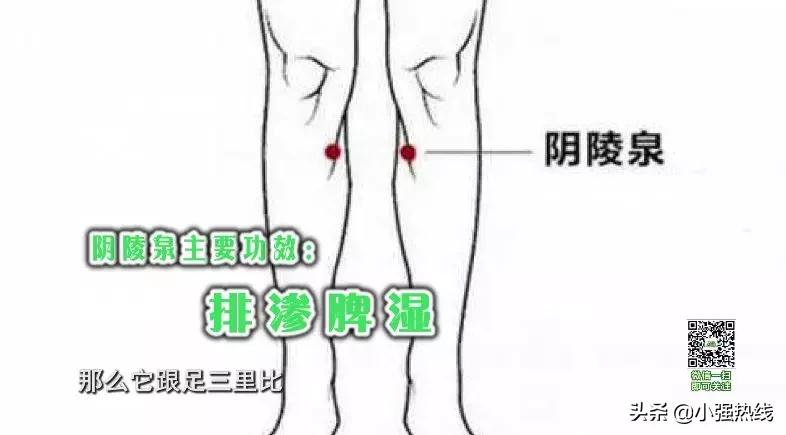 夏季三“邪”难抵御？学好这几招，养阳气、强体质、健脾宁心，助你安然过三伏