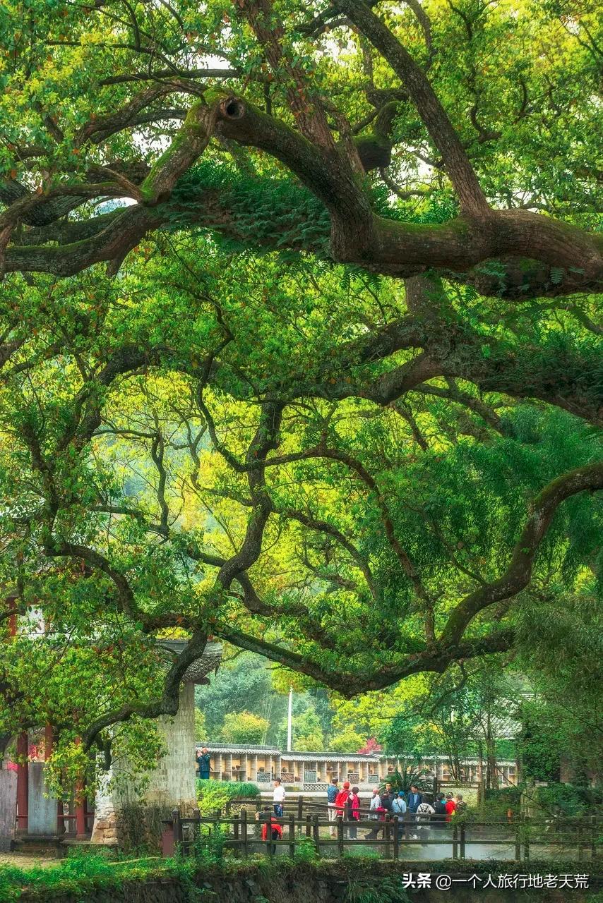 清明旅游一日游攻略,清明旅游三日游攻略