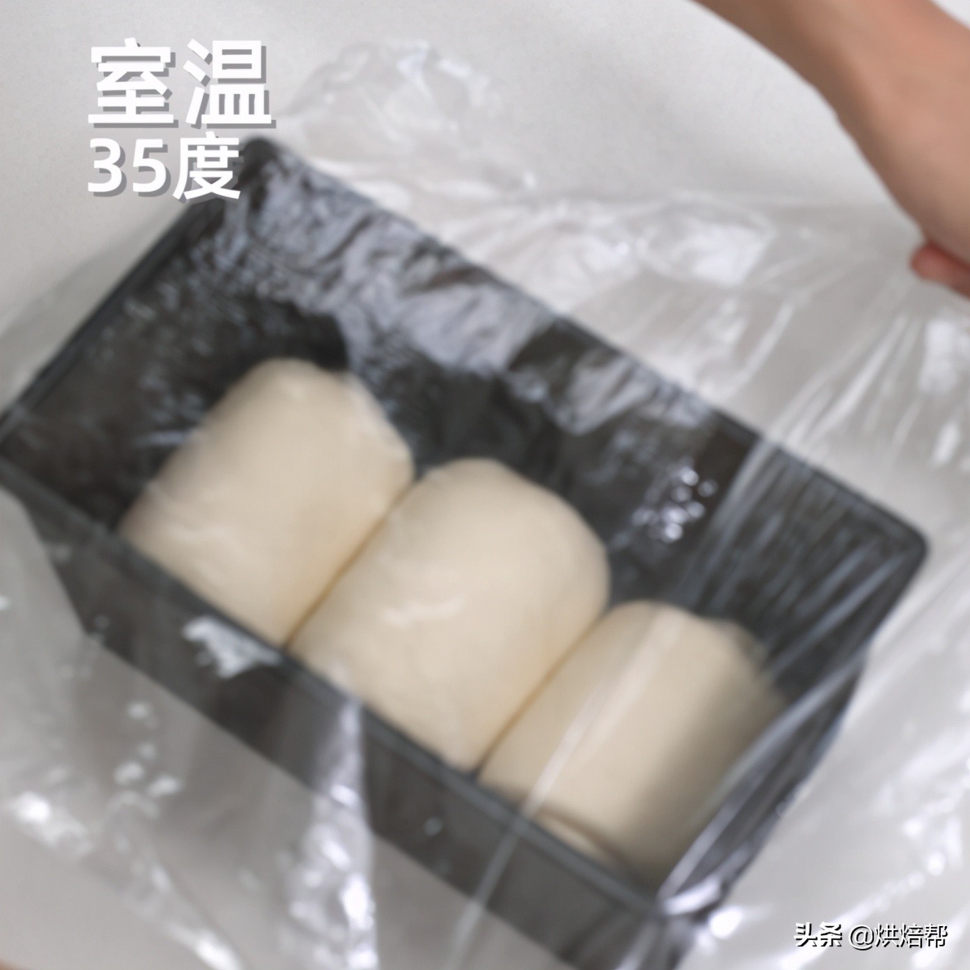 日本爆火吐司,日本生吐司中种