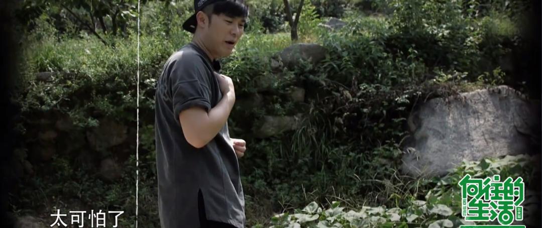 他拯救了综艺大型尴尬现场