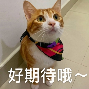 不骗你，比起“砸钱”变白，这3点更值得黄黑皮女人坚持