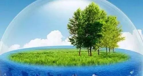 外阴的不正常形态,阴道不光滑的症状