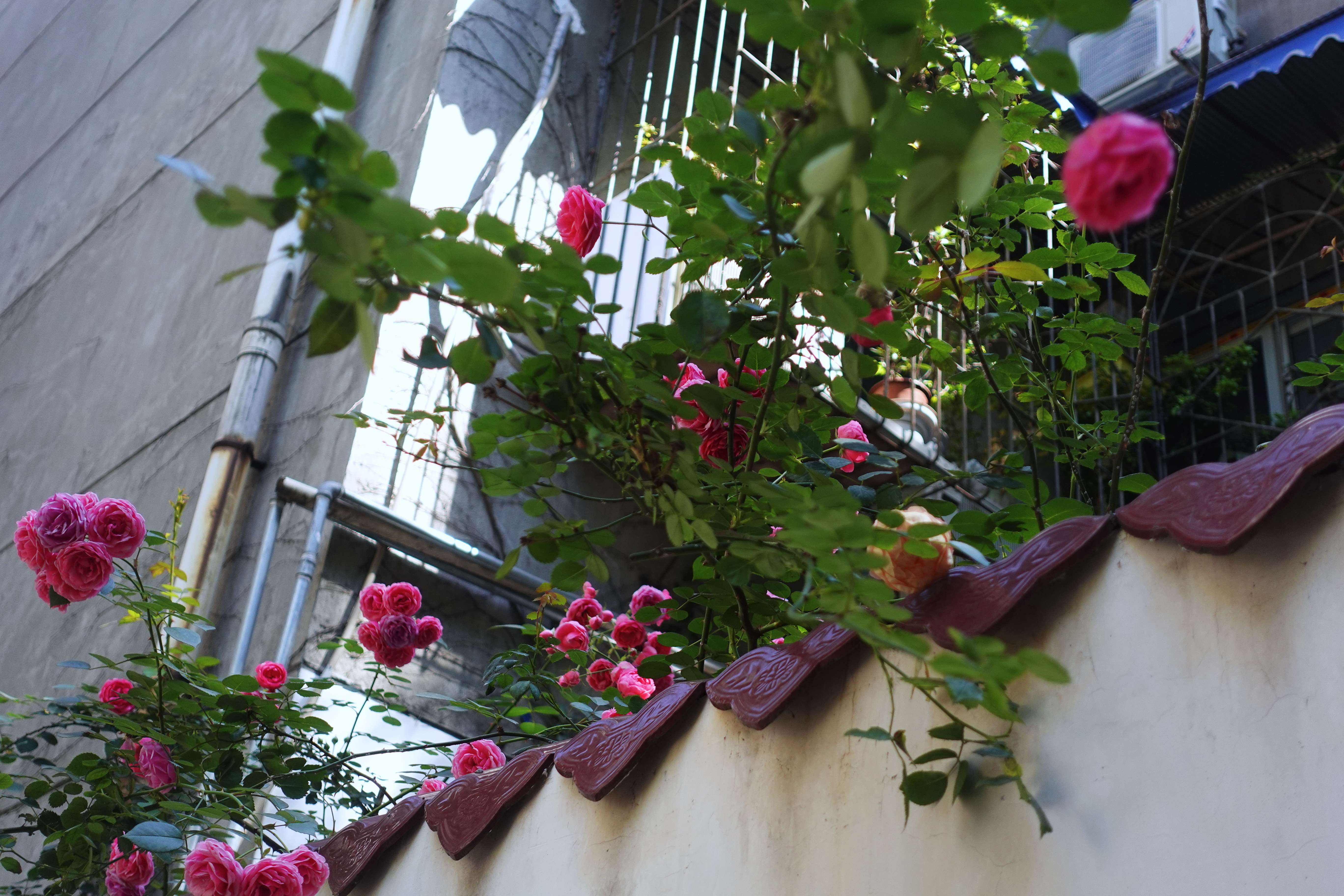 2021幸福感城市成都,最幸福感城市排名成都第一