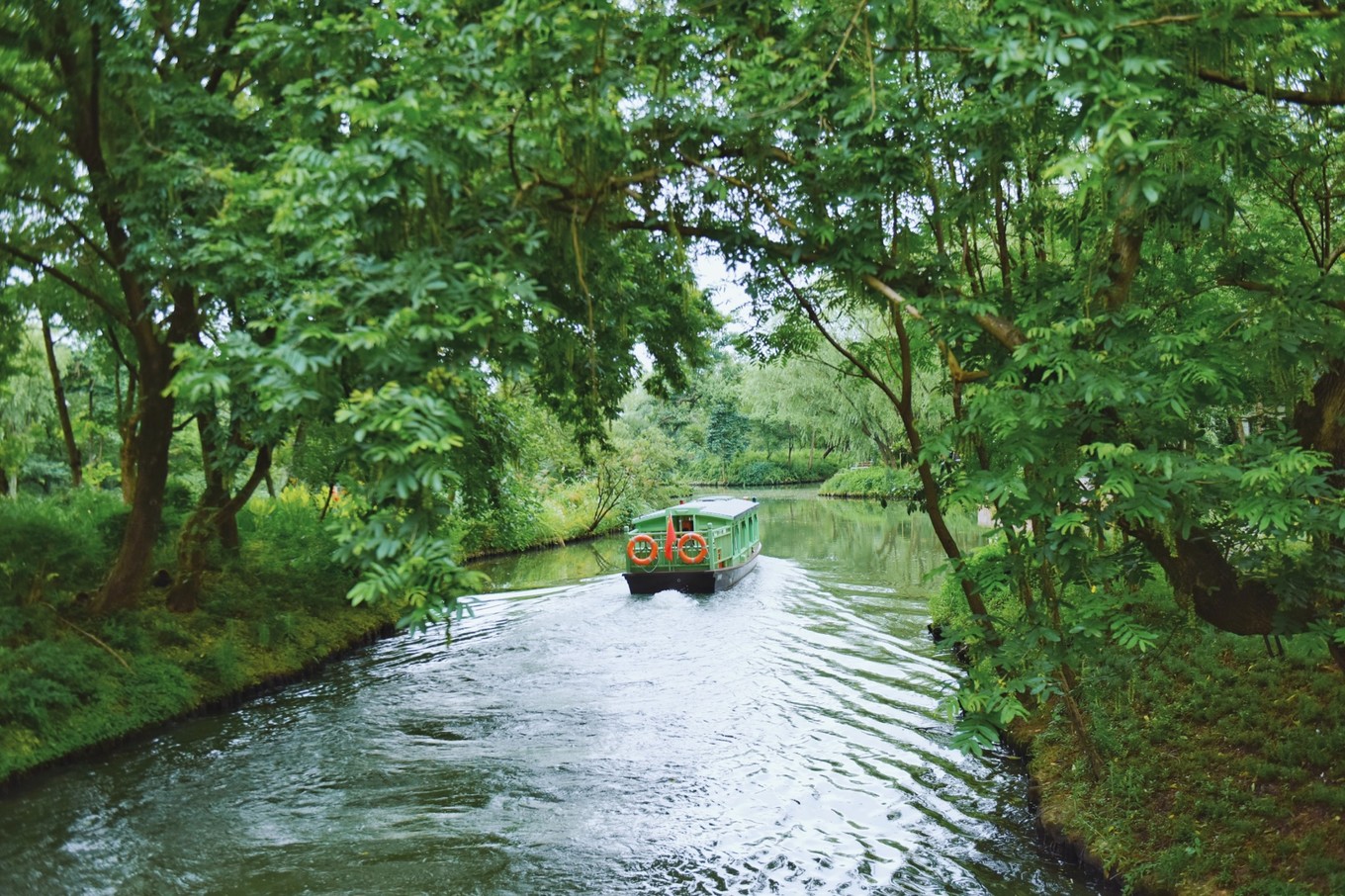 绿色世界花的海洋，在十里芳菲宠爱自己的24小时