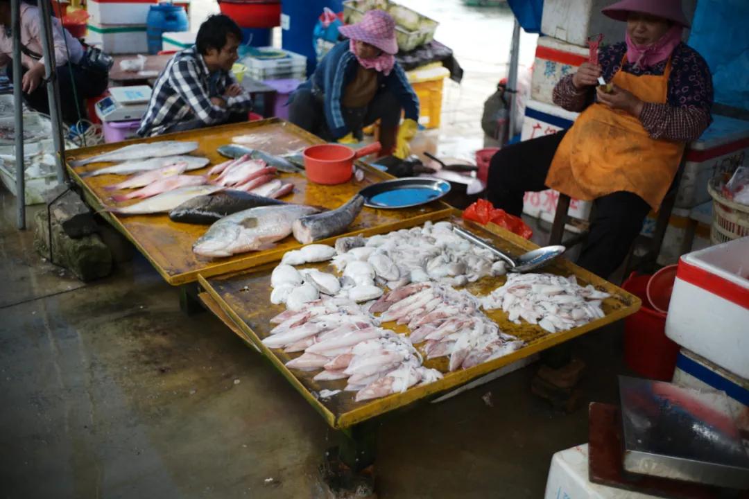 在海南岛最霸气的渔港码头,海南十大渔港码头