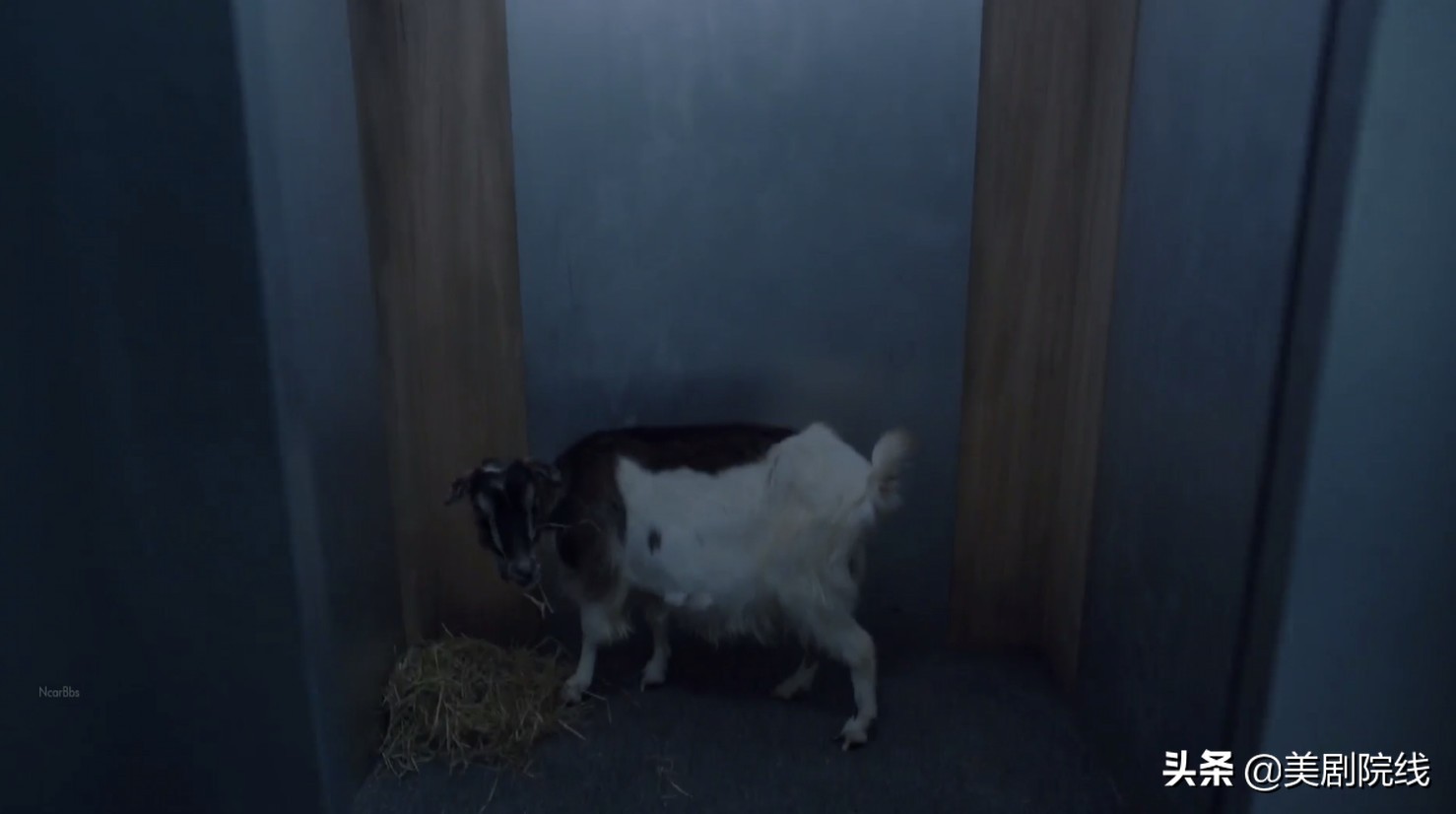 全球十大最好看的科幻美剧排名,超好看的科幻美剧强力推荐