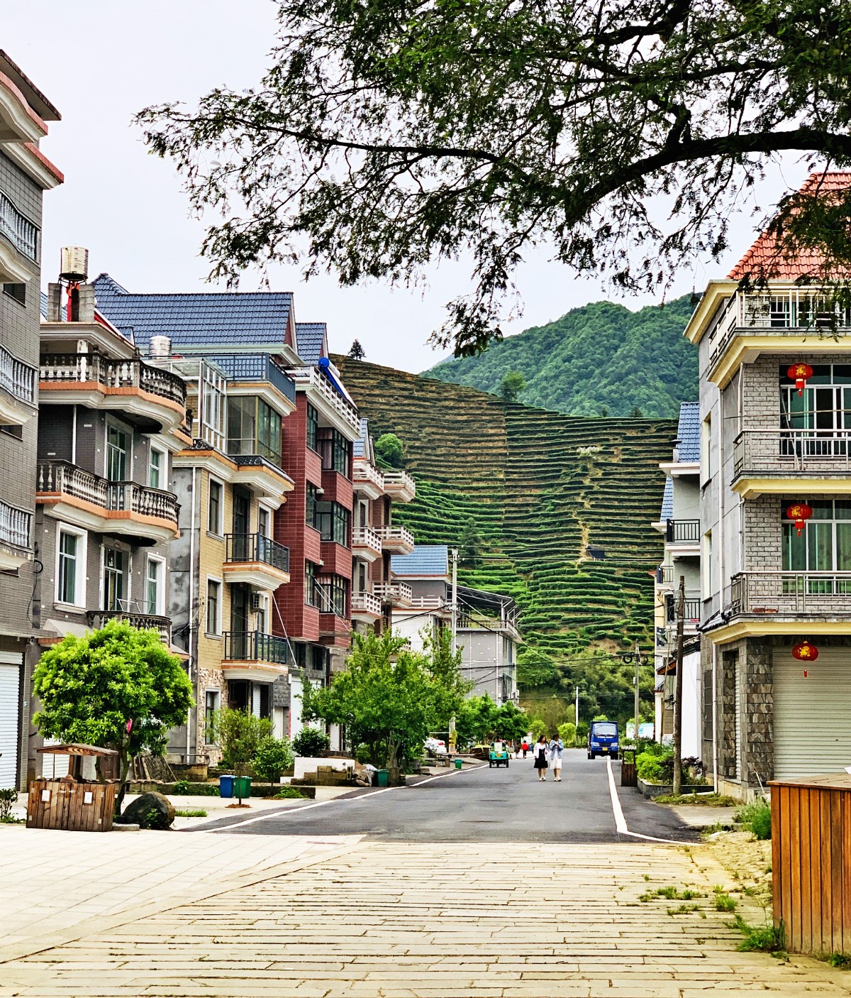遂昌仙峡湖网红绿道在哪里,遂昌仙峡湖