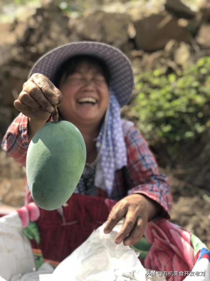 芒果的快速吃法吃货一定要知道,各种品类芒果的吃法