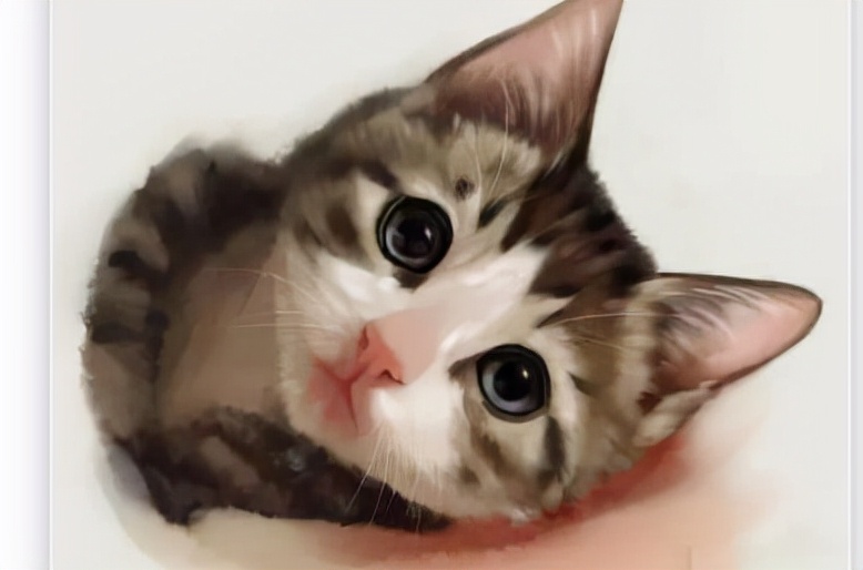 便宜养猫零食,老手养猫一般给什么零食