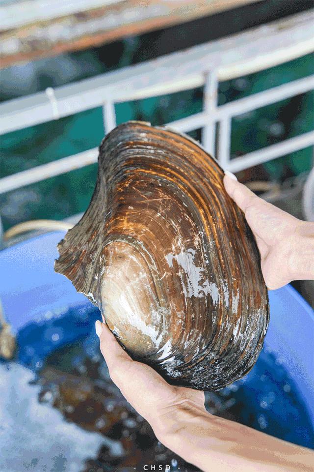 口碑最好的农庄老店,本地人带路