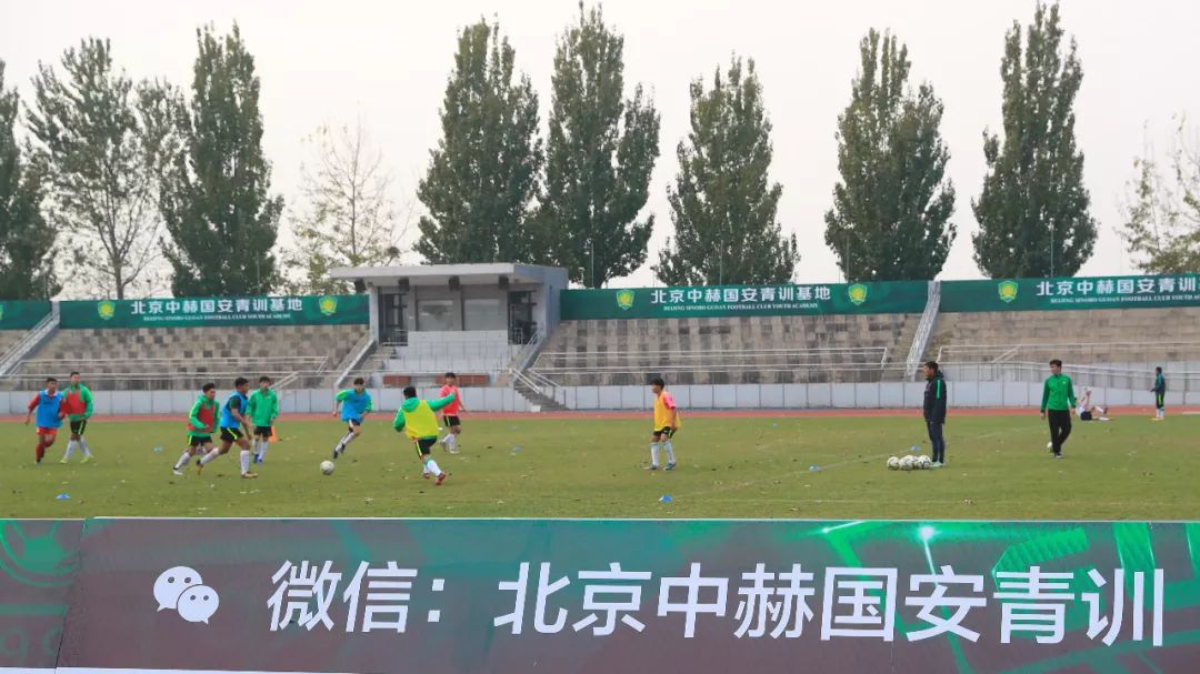 杨璞国安,杨璞报道