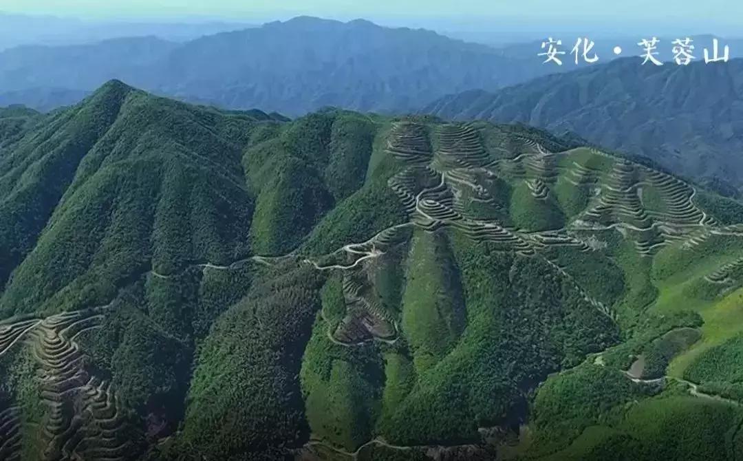 一个爱茶之人不能不去的地方,爱茶之人必去的九大茶区