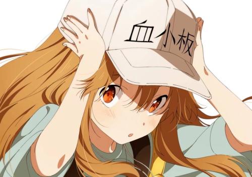 日本秋叶原评年度最佳动画：《OVERLORD》28名某热血神作垫底