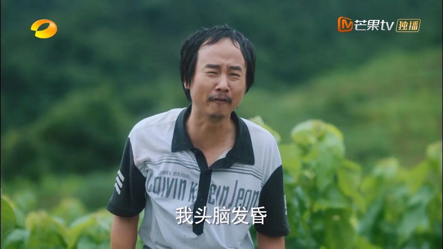 江山如此多娇说了个啥,解读江山如此多娇