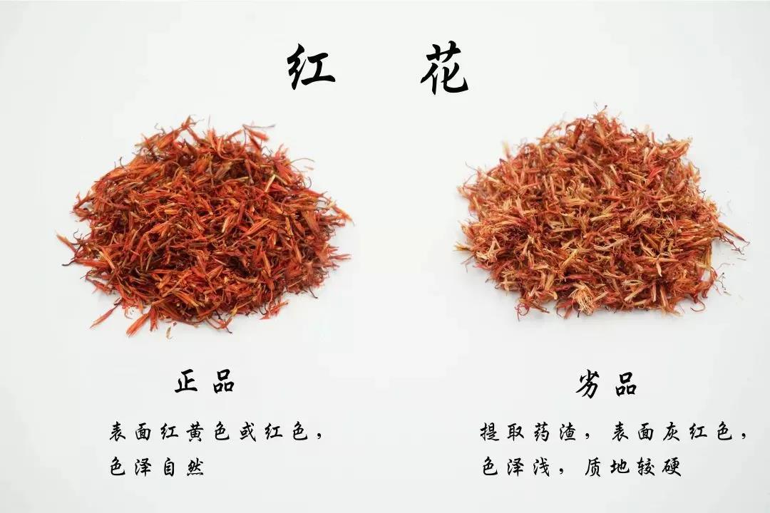 每天学习一味中药紫草,每天学习一味中药视频