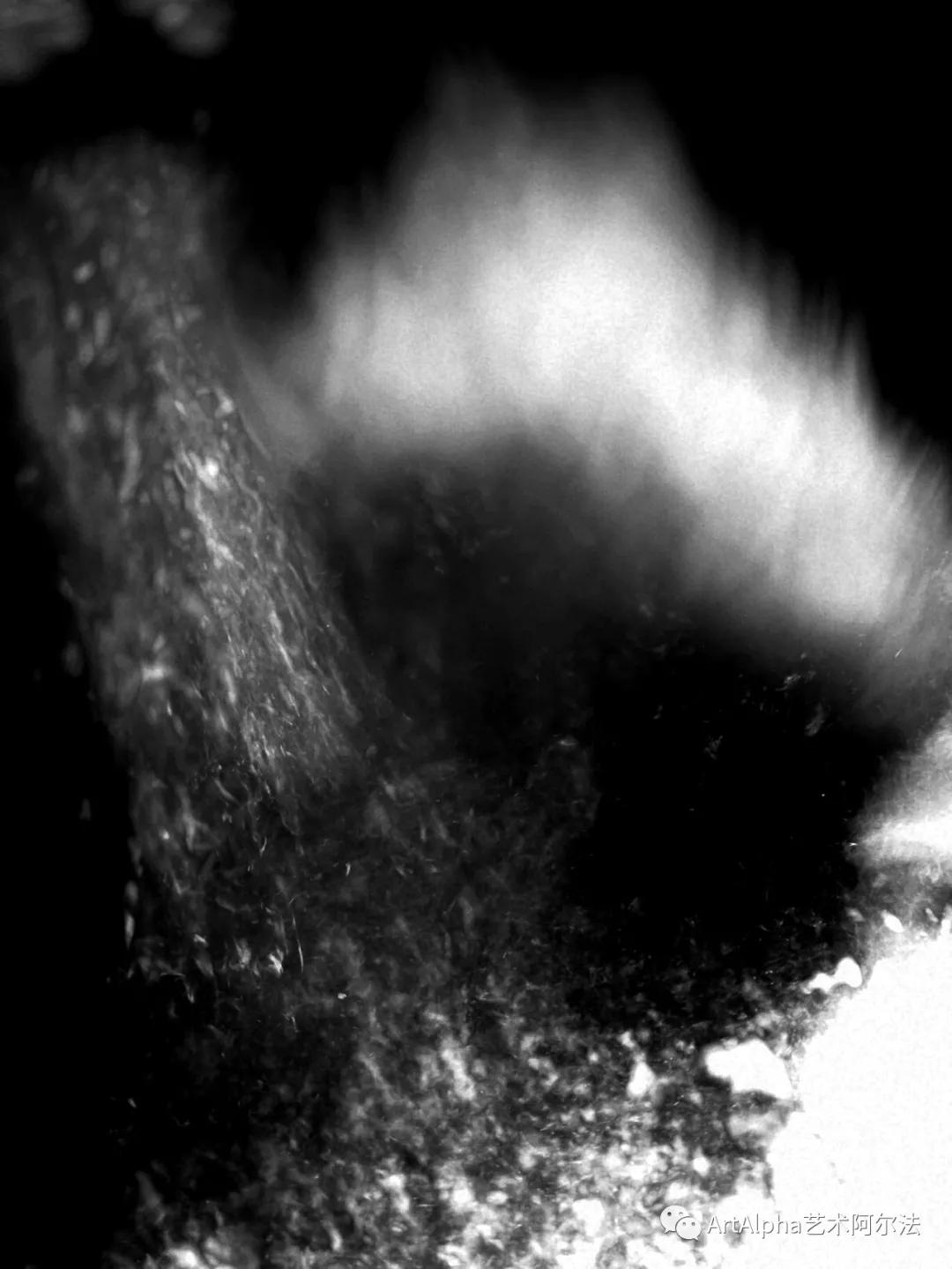 贾廷峰作品,贾廷峰水墨作品