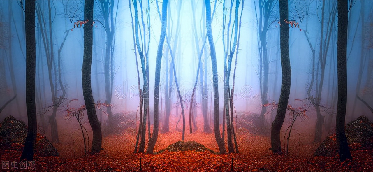 古言微灵异小说推荐,灵异接地气的小说推荐言情