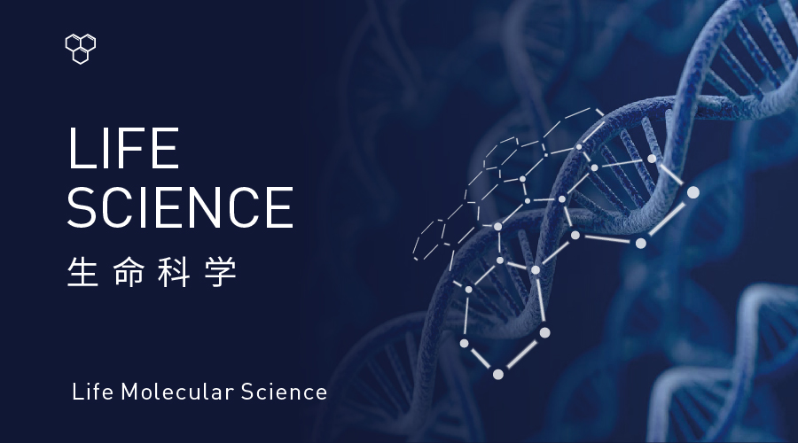 设计版面技巧和方法,版面设计八大核心规律你会了吗