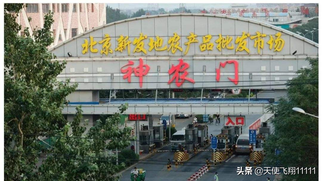 北京新发地批发市场布局,北京丰台新发地批发市场