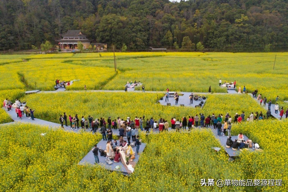 江西婺源油菜花音乐节,婺源油菜花文化节