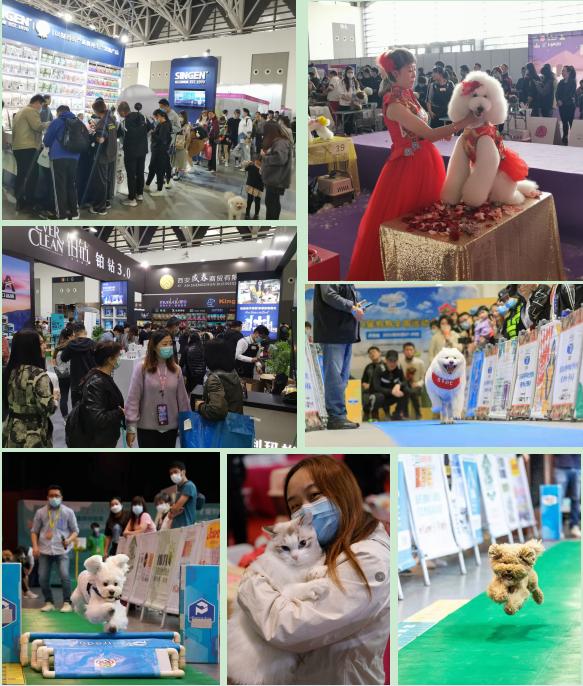 西北宠物行业的剁手盛宴来喽