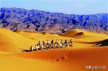 中卫市沙坡头旅游感受,沙坡头黄河美景