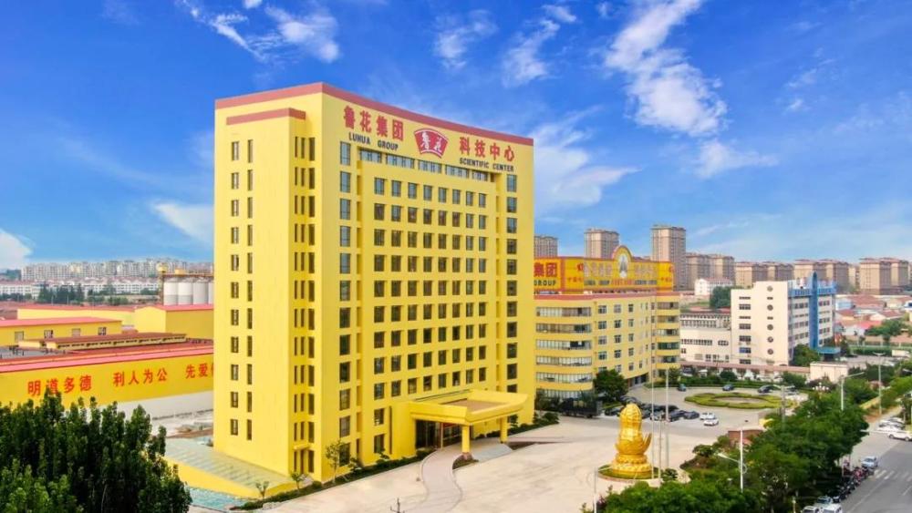 民族品牌的骄子为什么是鲁花,食用油第一名鲁花