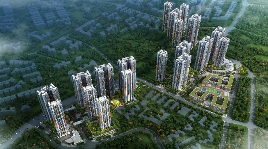 【双周发布】全市首个！人工智能和大数据相结合的物管平台在罗湖上线