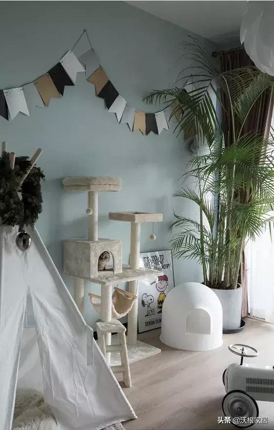 带你看90后夫妻的家,90后小两口的婚房真漂亮